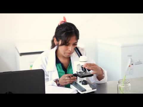 Embedded thumbnail for Ofertas educativas de Institutos Técnicos y Tecnológicos en La Paz